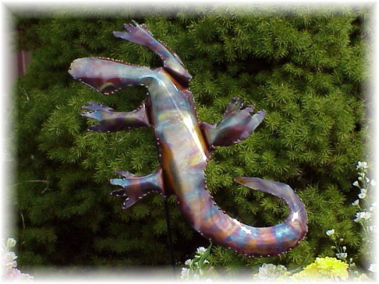 Salamander