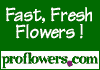 Proflowers.com